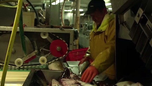 Seuls ensemble Bande-annonce VF