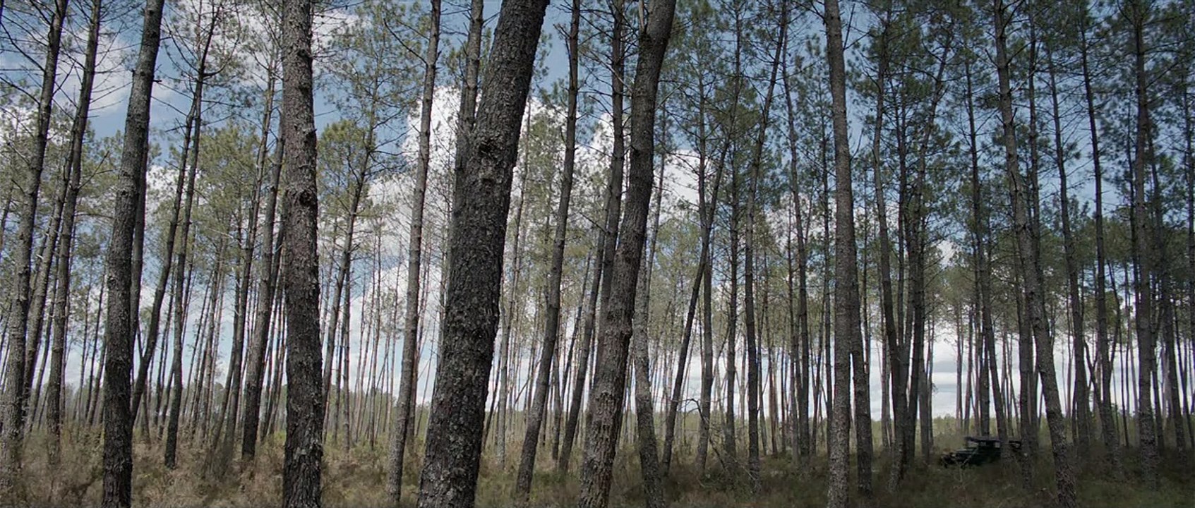 Landes Bande-annonce VF