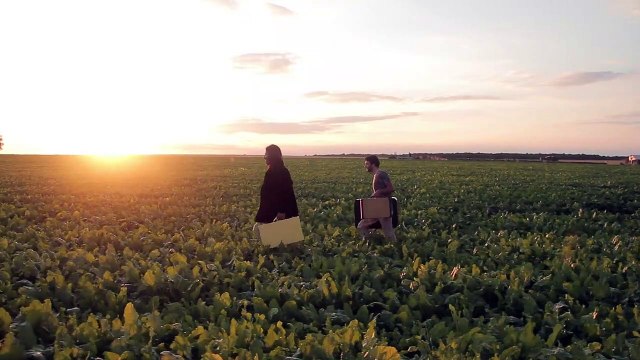 Le Vrai lieu Bande-annonce VF