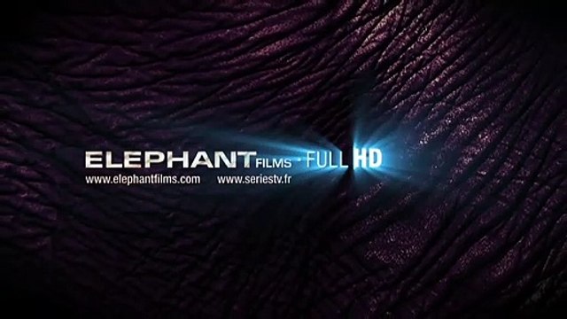 Sérénade à trois Bande-annonce VO