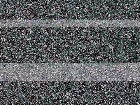 Gerard Butler Interview : 300