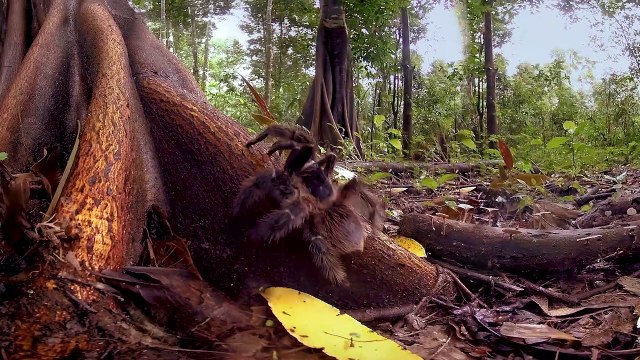 On a testé la réalité virtuelle écolo !