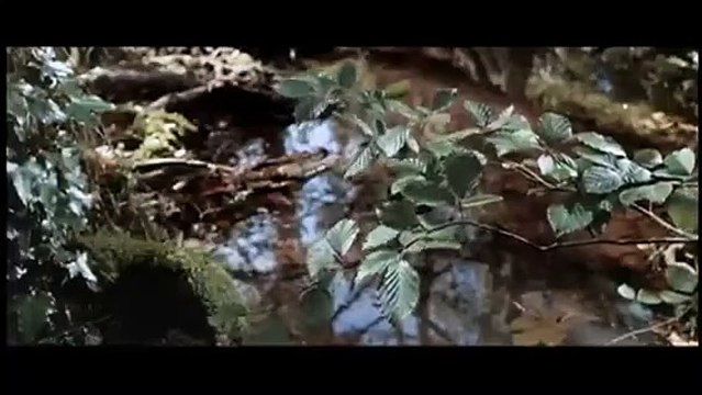 La Fille de Ryan Bande-annonce (2) VO