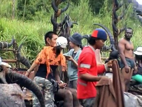 Ong-Bak 2, la naissance du dragon Making Of (5) VO