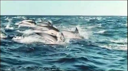 La Planète bleue Extrait vidéo VF