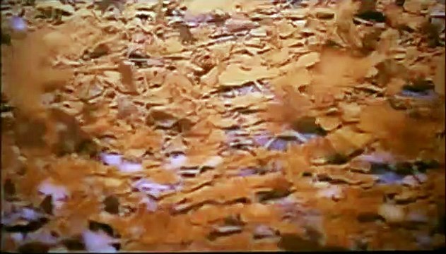 Sur la trace du serpent Bande-annonce VF