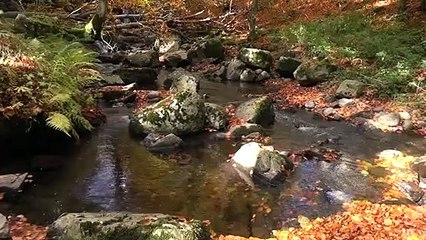 D&#039;eau et de lumière Teaser VF