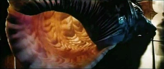 A ton image Extrait vidéo VF