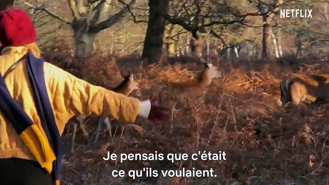 Taylor Swift : Miss Americana Bande-annonce VO