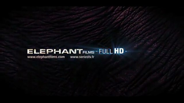 Les Cadavres ne portent pas de costard Bande-annonce VO