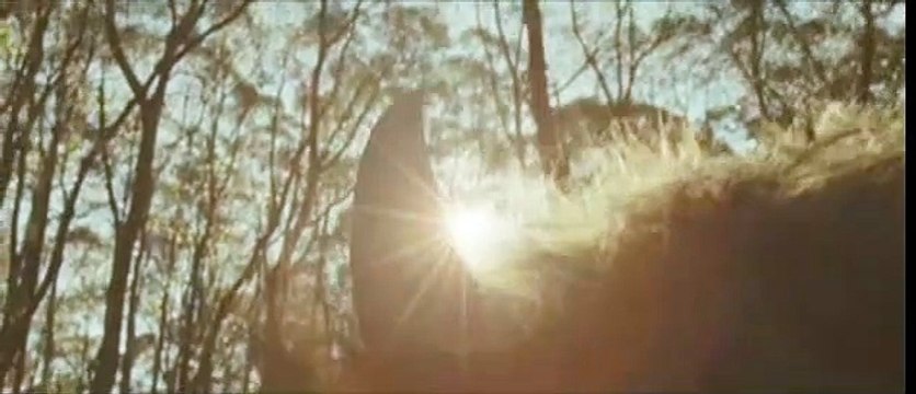 Max et les maximonstres Bande-annonce VF