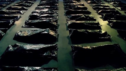 "Body Bags" : un nouveau teaser de "The Strain"