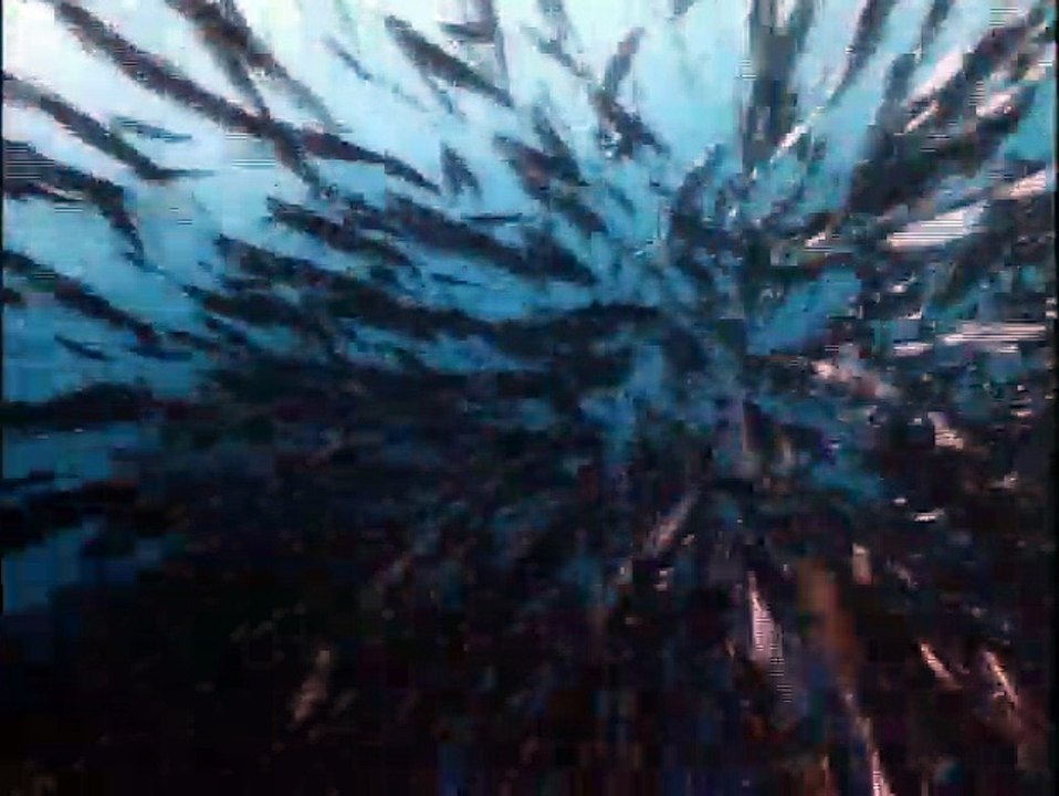 Dinosaures 3D : Géants de Patagonie Bande-annonce VO