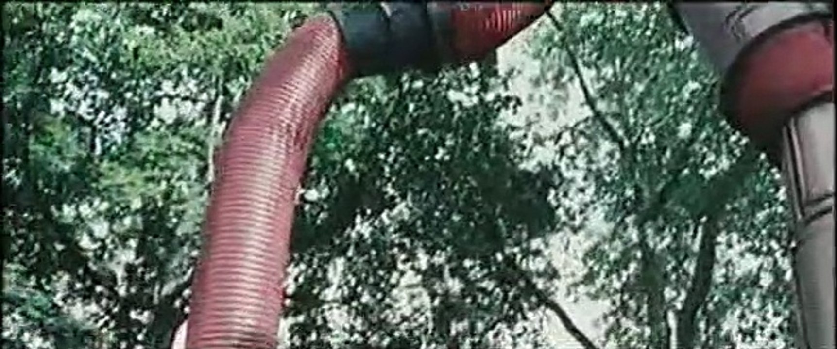 Le Tour du monde en 80 jours Extrait vidéo VO