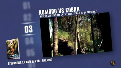 Les nanars à serpents