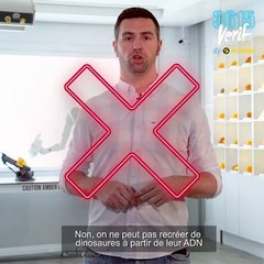 3615 VERIF : Peut-on vraiment recréer des dinosaures ?