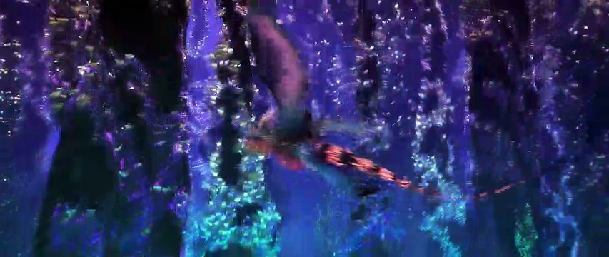 Dragons 3 : Le monde caché Bande-annonce VO