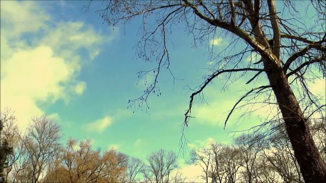 Le Sens de la vie Teaser VF