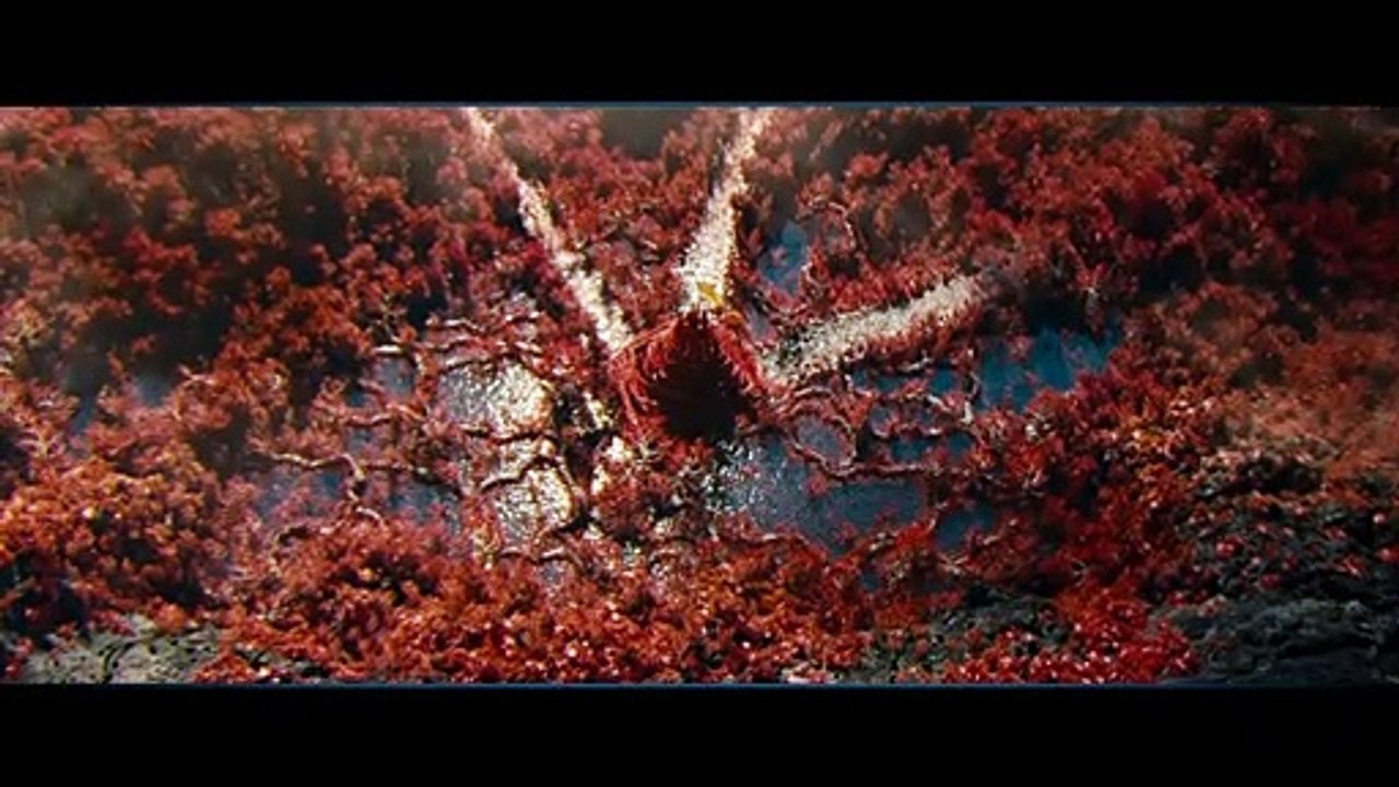 Star Trek Into Darkness Extrait vidéo (7) VO