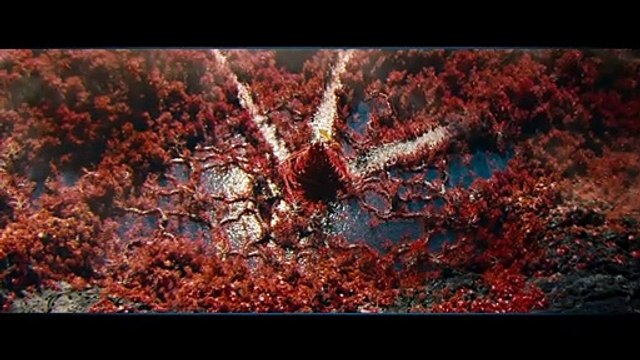 Star Trek Into Darkness Extrait vidéo (7) VO