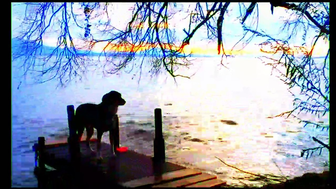 Adieu au Langage Bande-annonce VF