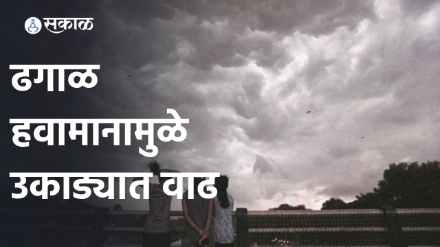 IMD Weather Forecast | राज्यात काही भागांत पावसाचा अंदाज | Rain Possibility | Sakal