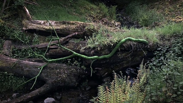 Penché dans le vent EXTRAIT VO Barrages