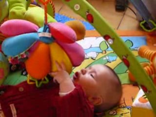 Dis donc la pieuvre !