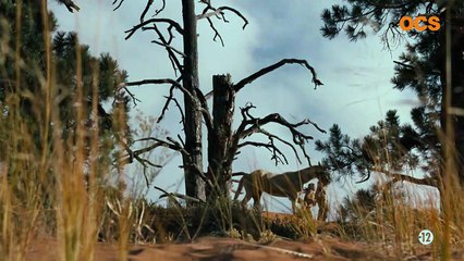 Westworld - saison 2 - épisode 8 Teaser VO