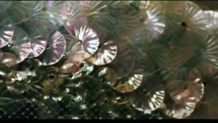 Brodeuses Bande-annonce VF