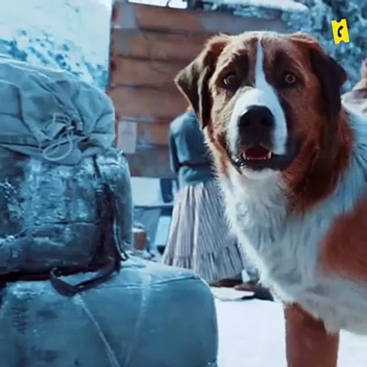 Omar Sy revient sur sa rencontre avec Harrison Ford