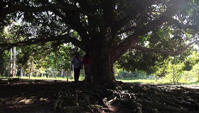 Visions chamaniques : territoires oubliés EXTRAIT VF Les Gardiens