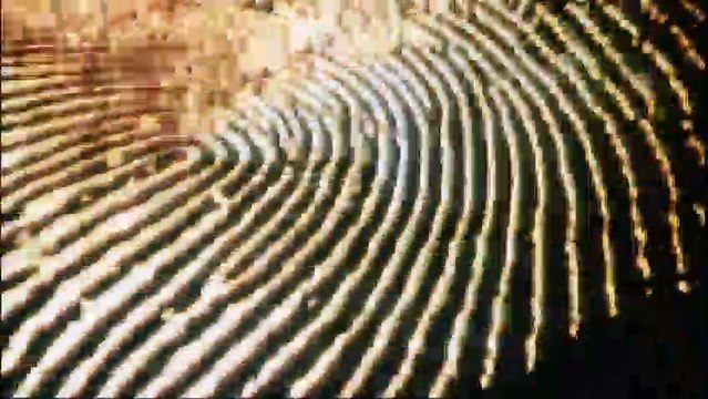 Les Petits braqueurs Bande-annonce VO