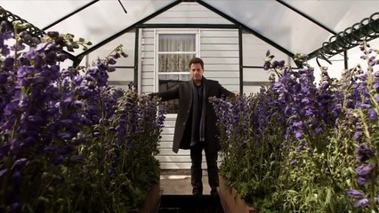 Forever - Le premier extrait