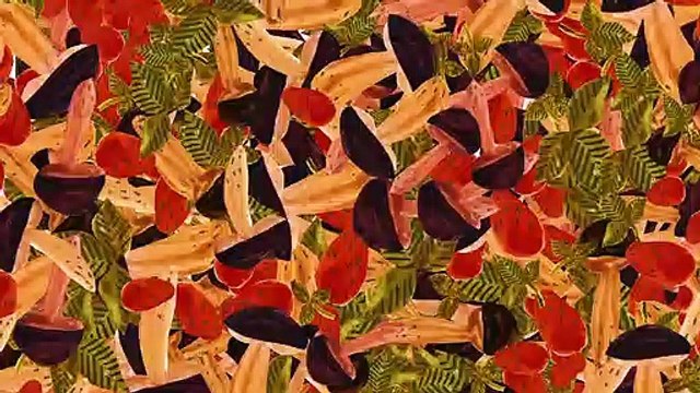 Les Ours gloutons Bande-annonce VF