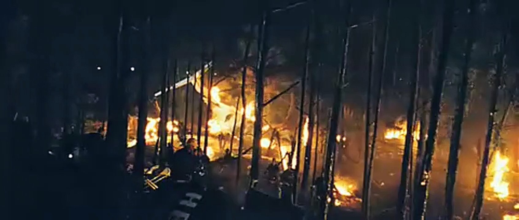 We Are Marshall Bande-annonce VO