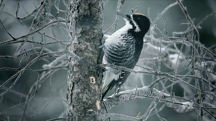 Premier teaser de la saison 2