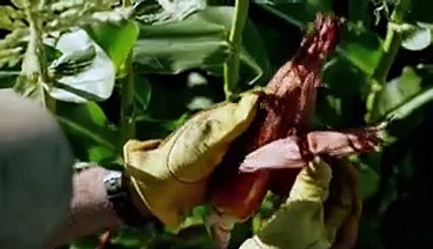 The Last Ship - saison 4 Bande-annonce (2) VO