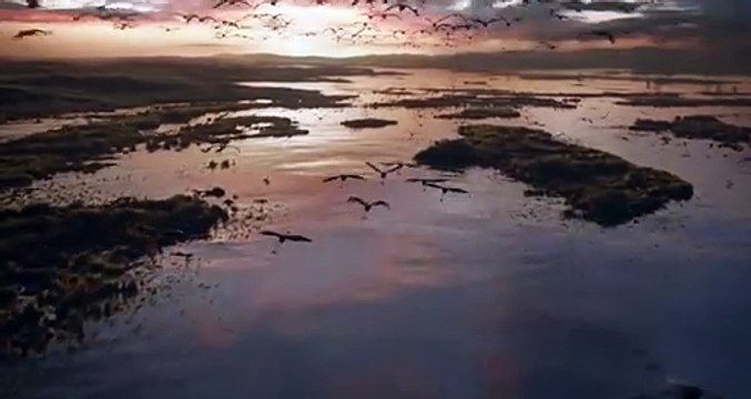 Le Roi Lion Teaser VF