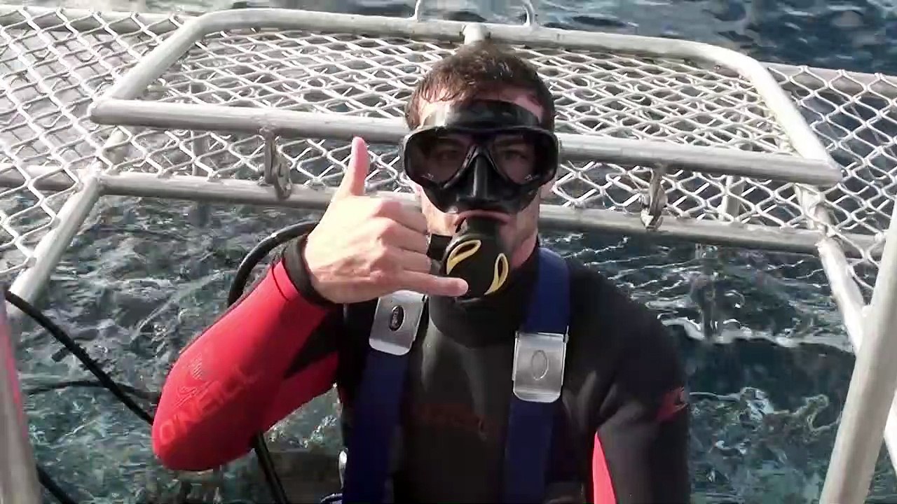 Open Water 3 : Les abîmes de la terreur Bande-annonce VO