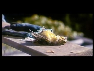 Invisible Extrait vidéo (4) VF