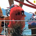 Angry Birds 2 : les oiseaux et les cochons à Cannes