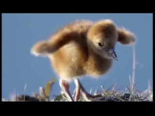 Un jour sur Terre Bande-annonce VF