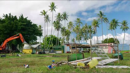 L&#039;Oiseau De Paradis Bande-annonce VF