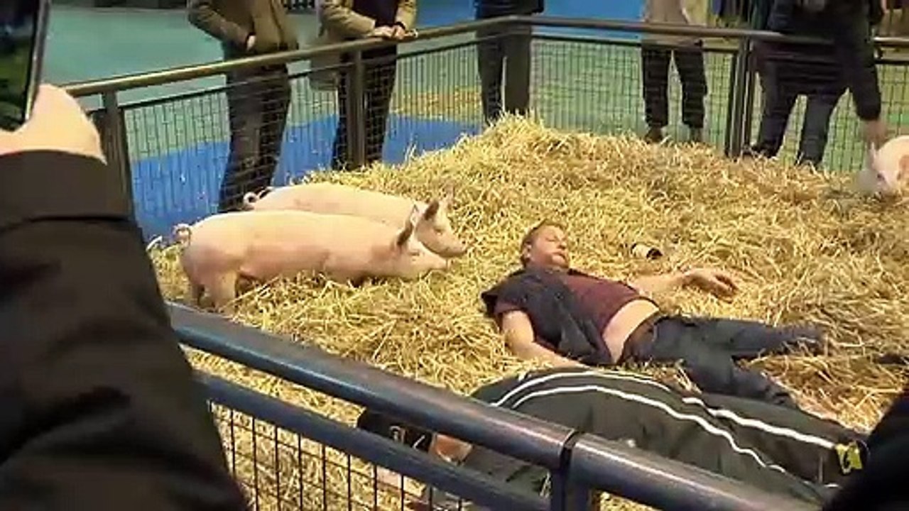 Saint Amour : dans les coulisses du tournage avec Gérard Depardieu et Benoit Poelvoorde