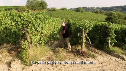 Natural Resistance - EXTRAIT VOST "La terre"