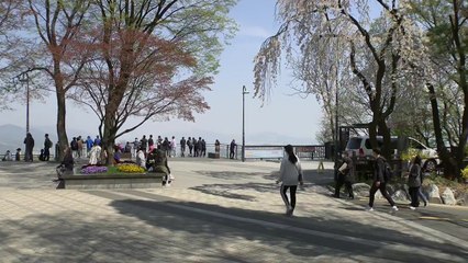 [날씨] 오늘 화창한 봄 날씨...남산 나들이객 가득 / YTN