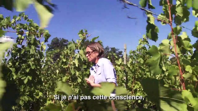 Natural Resistance - EXTRAIT VOST Être positif
