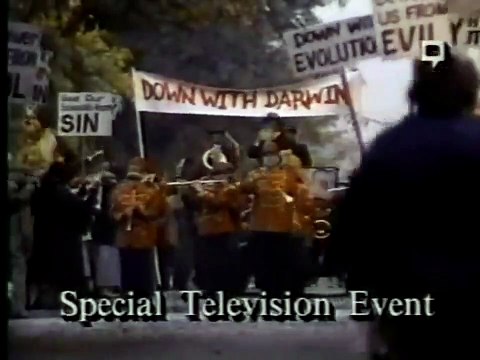 Tu récolteras la tempête Bande-annonce VO