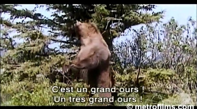 Grizzly Man Bande-annonce VO